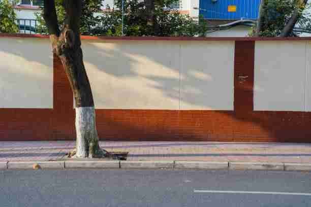 法务视角《暗网禁地》心理画像幕后真相