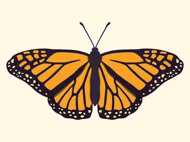 91大事件商业模式：影视盘点核心要点