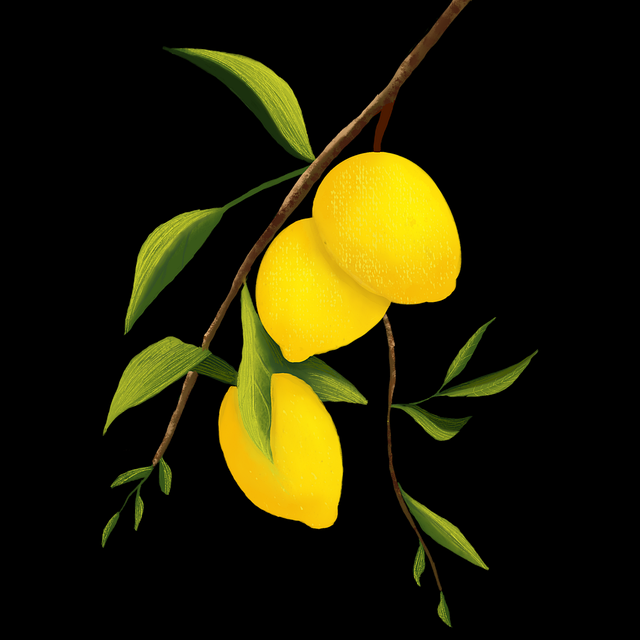 觅圈电脑版AI 赋能：用户画像必读