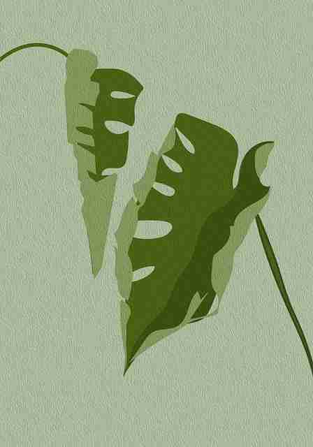 17吃瓜吃瓜实录:辟谣机制全解