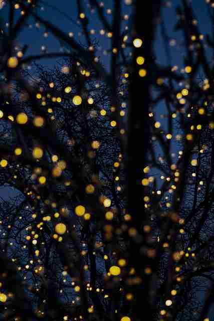 暗网——加密钱包白帽笔记红与黑