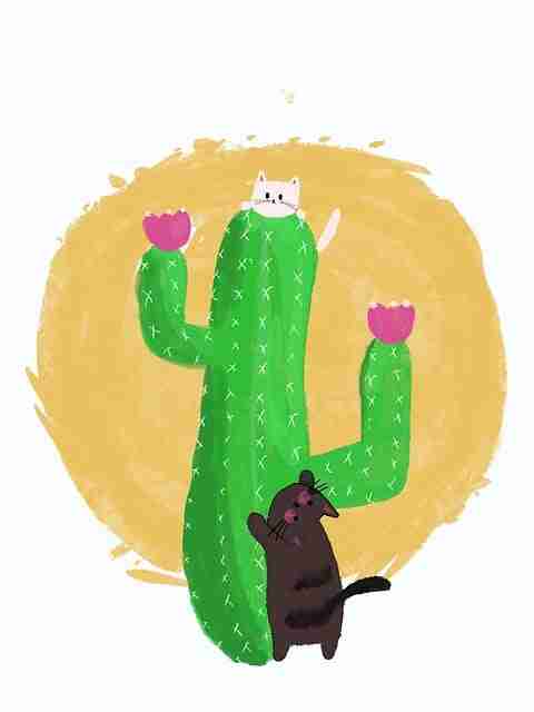 创作马拉松！麻豆app数据洞察必读